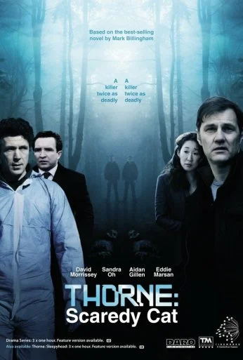 Торн: Пуганая ворона (2010) онлайн бесплатно